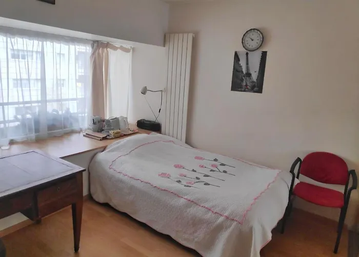 Apartament Seine Front / Lib. F.mitterrand